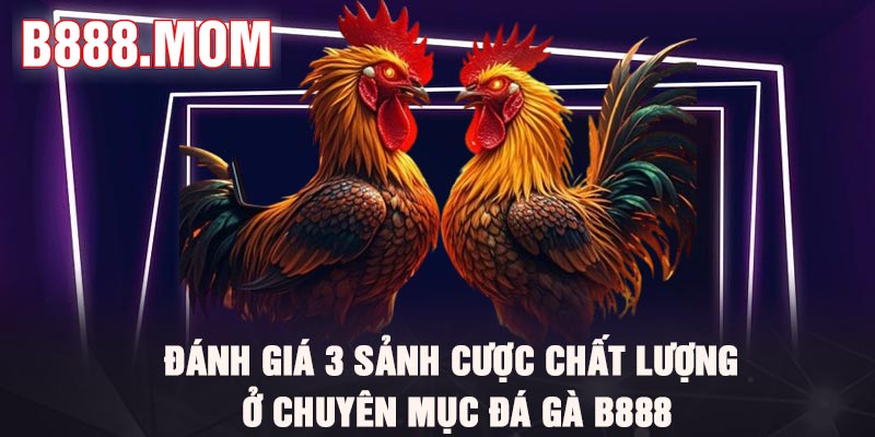 Đá Gà B888 – Thiên Đường Làm Giàu Cho Kê thủ 2026