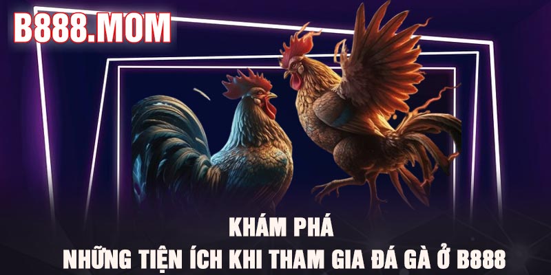 Đá Gà B888 – Thiên Đường Làm Giàu Cho Kê thủ 2026