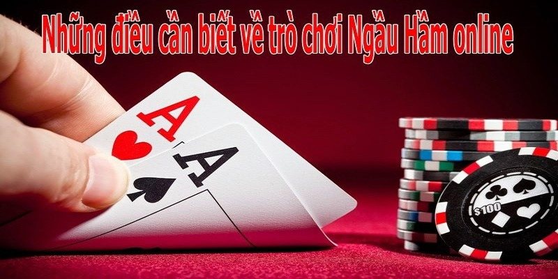Ngầu Hầm: Hướng Dẫn Chi Tiết Về Trò Chơi Bài Đầy Hấp Dẫn