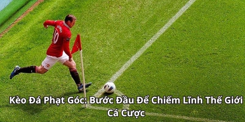 Soi Kèo Phạt Góc: Hướng Dẫn Chi Tiết Cho Người Mới