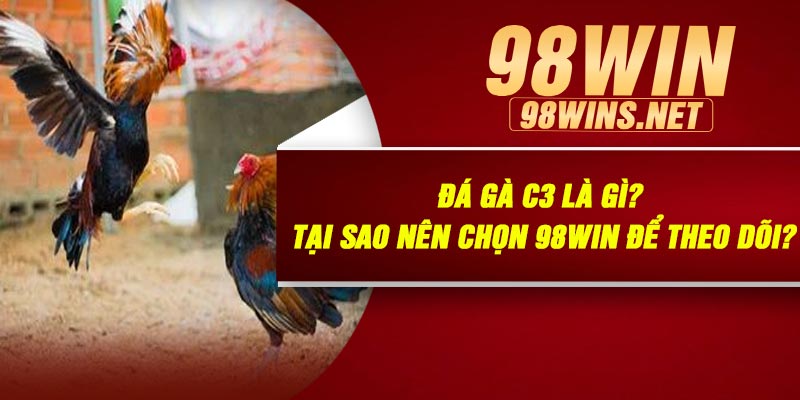 Xem Và Cá Cược Đá Gà C3 Hôm Nay Tại 98Win – Trải Nghiệm Đỉnh Cao