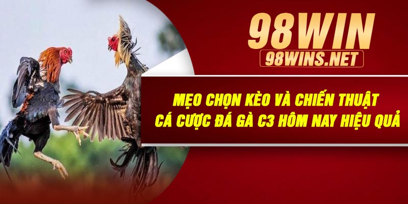 Xem Và Cá Cược Đá Gà C3 Hôm Nay Tại 98Win – Trải Nghiệm Đỉnh Cao