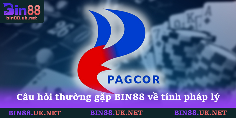 Câu Hỏi Thường Gặp BIN88 Và 10 Giải Đáp Chi Tiết Nhất Câu Hỏi Thường Gặp BIN88 Và 10 Giải Đáp Chi Tiết Nhất